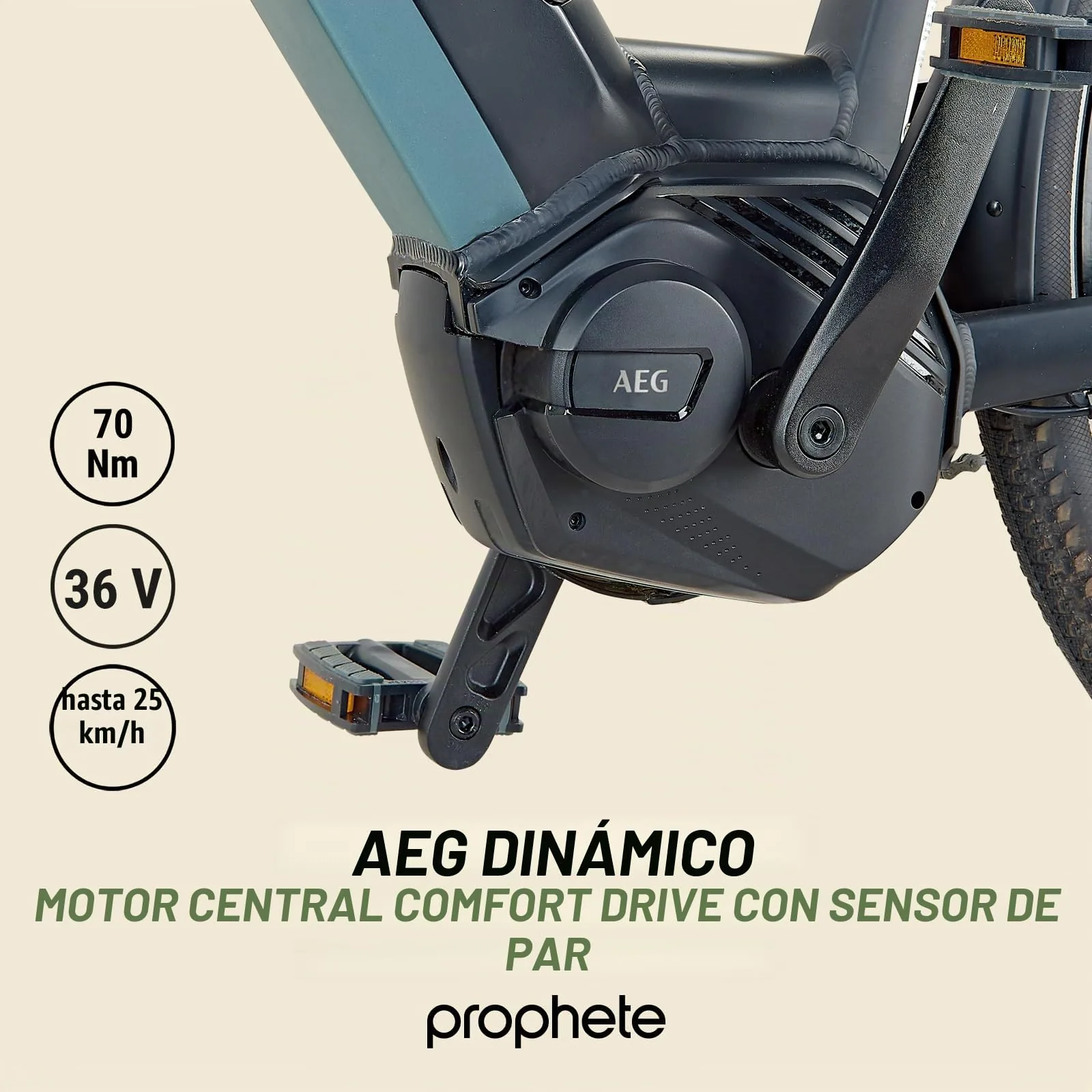 Prophete Geniesser 4.0 City foto 4